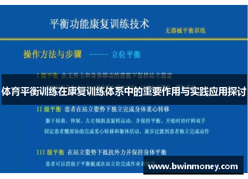 体育平衡训练在康复训练体系中的重要作用与实践应用探讨